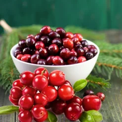 Nature's Garden Cranberry Balsam Fragrance Oil Online