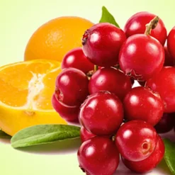 Nature's Garden Cranberry Orange Fragrance Oil Outlet