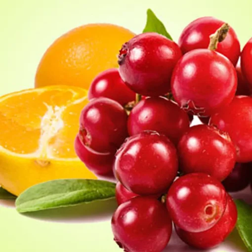 Nature's Garden Cranberry Orange Fragrance Oil Outlet