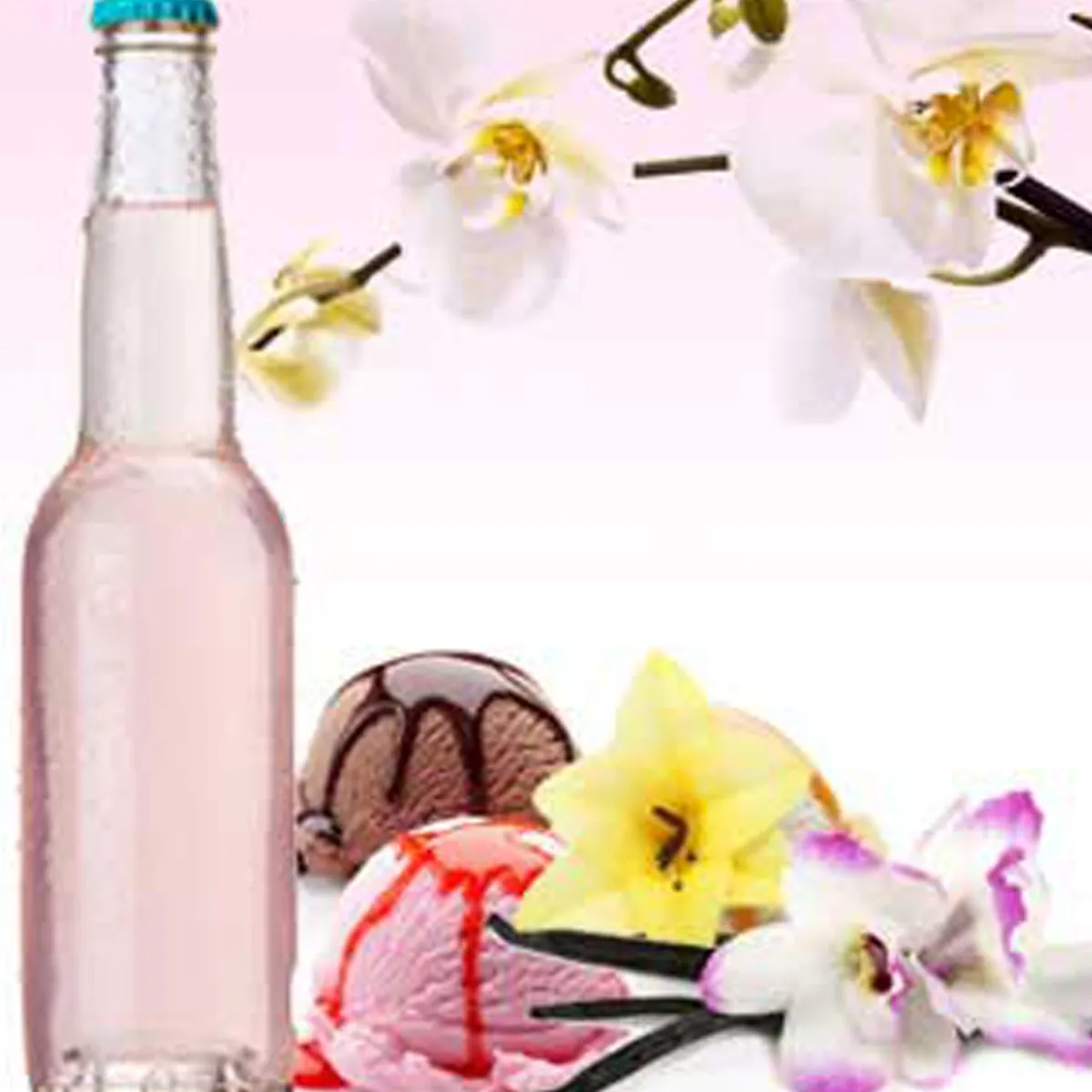 Nature's Garden Cream Soda Fragrance Oil Hot