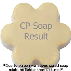 Nature's Garden Creamy Coconut Fragrance Oil Best