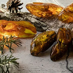 Nature's Garden Crystal Amber Fragrance Oil Best