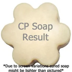 Nature's Garden Dad Bod Fragrance Oil Hot