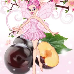 Nature's Garden Dance of the Sugar Plum Fairy Fragrance Oil Discount