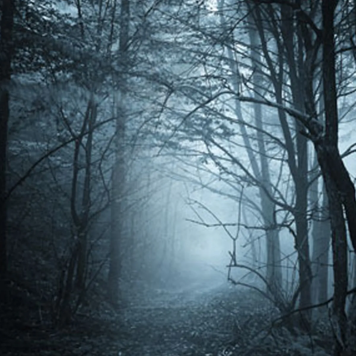 Nature's Garden Dark Musk Fragrance Oil Sale