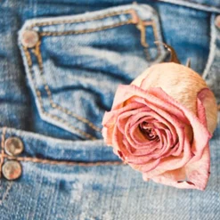 Nature's Garden Denim Fragrance Oil