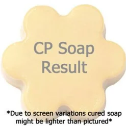 Nature's Garden Dreamsickle Fragrance Oil Hot