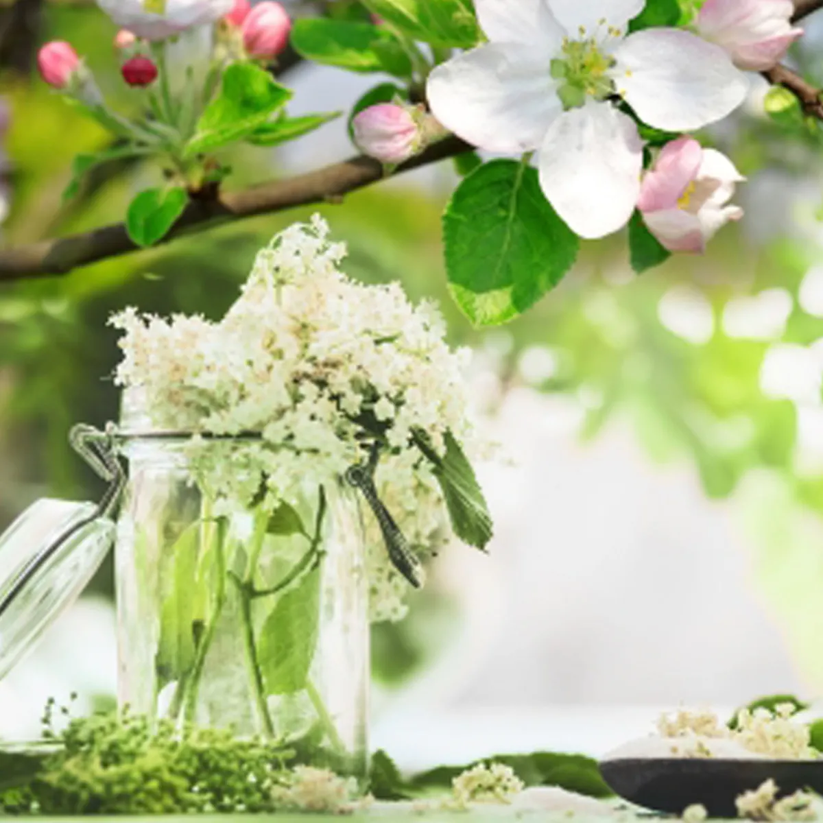 Nature's Garden Elderflower and Apple Blossoms Fragrance Oil Clearance