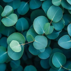 Nature's Garden Eucalyptus Fragrance Oil Outlet
