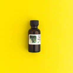 Nature's Garden Fir Needle Siberian Essential Oil - 100% Pure Best