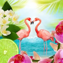 Nature's Garden Flamingo Zest Fragrance Oil Clearance