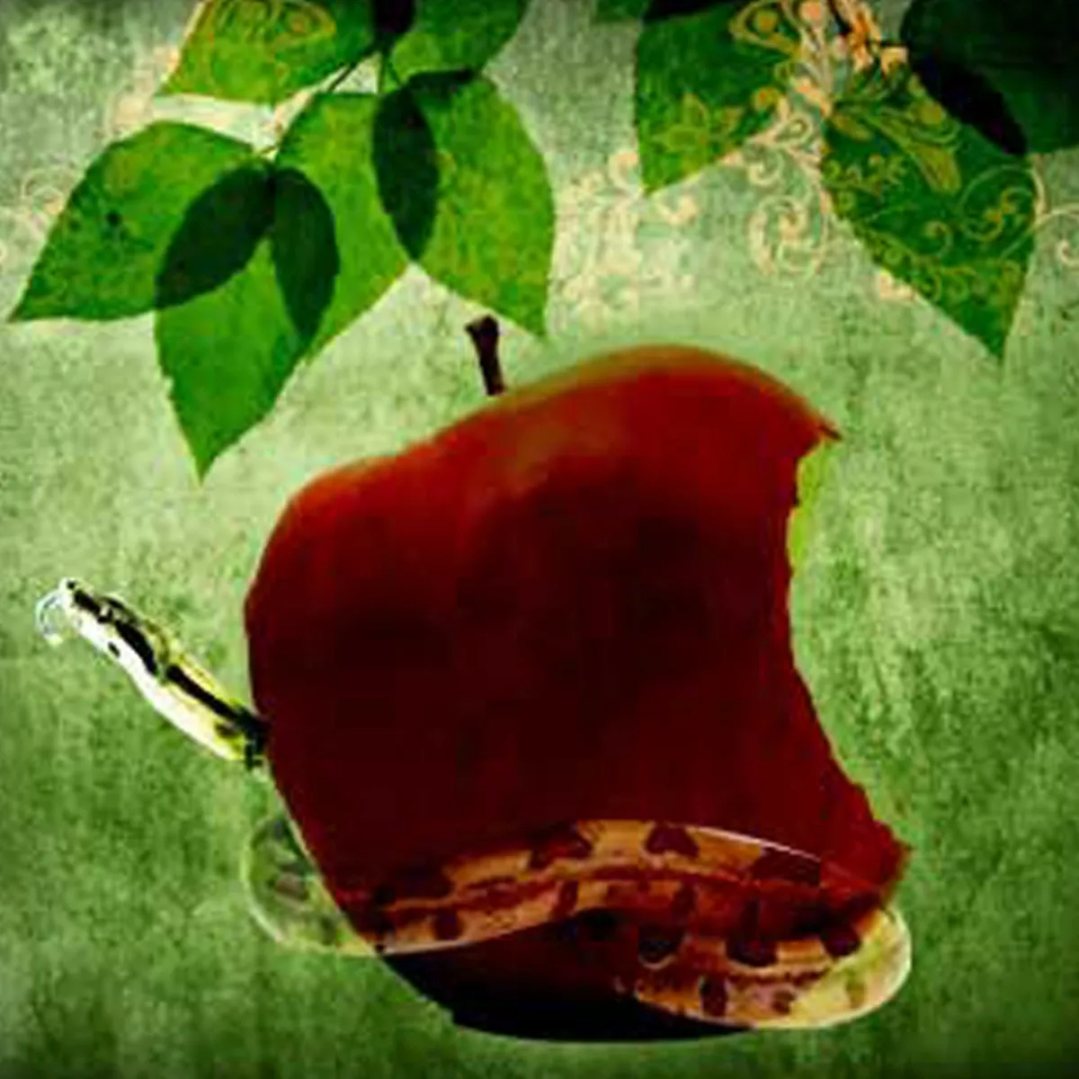 Nature's Garden Forbidden Fruit Fragrance Oil Discount