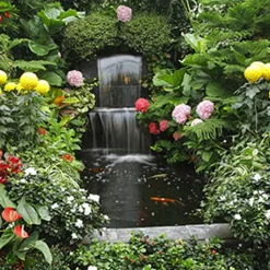 Nature's Garden Fountain of Youth Fragrance Oil Sale