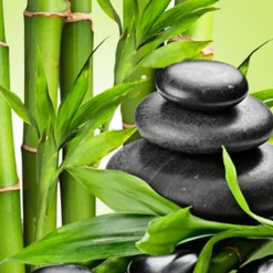 Nature's Garden Fresh Bamboo Fragrance Oil Discount