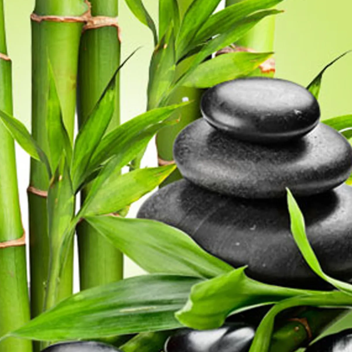 Nature's Garden Fresh Bamboo Fragrance Oil Discount
