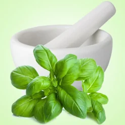 Nature's Garden Fresh Basil Fragrance Oil Hot