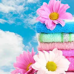 Nature's Garden Fresh Linen Fragrance Oil