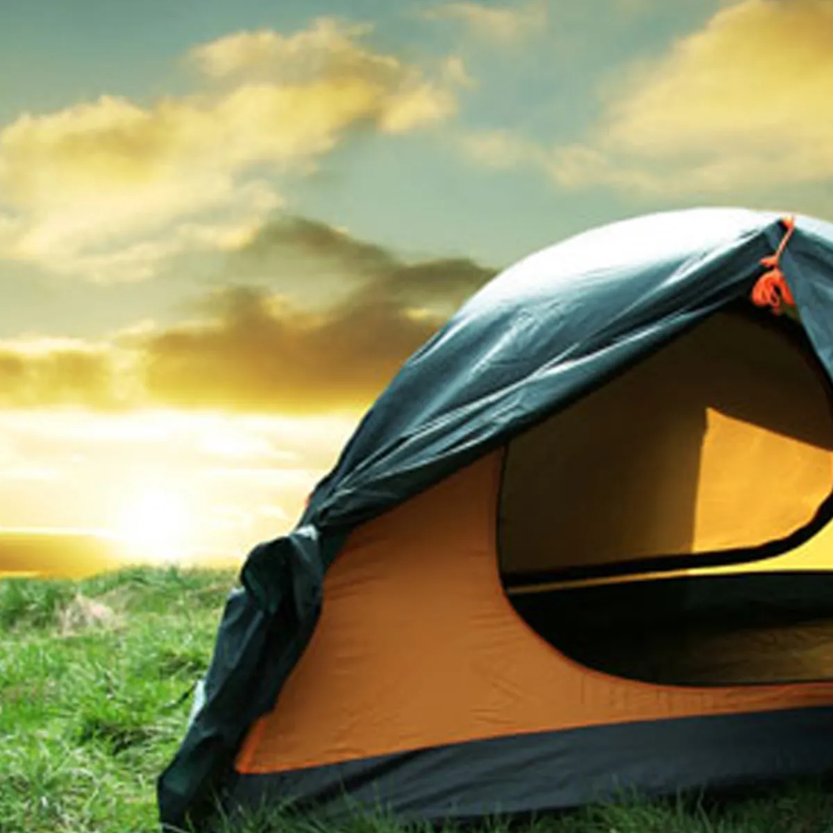 Nature's Garden Fresh Outdoors Fragrance Oil