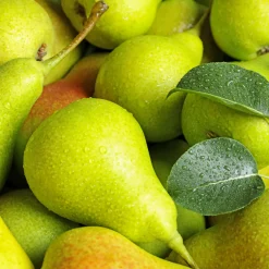 Nature's Garden Fresh Pear Fragrance Oil