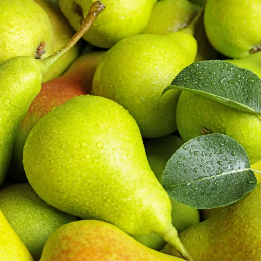 Nature's Garden Fresh Pear Fragrance Oil