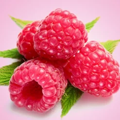 Nature's Garden Fresh Raspberry Fragrance Oil Discount