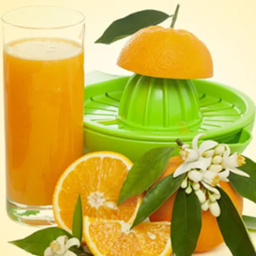 Nature's Garden Fresh Squeezed Orange Fragrance Oil Sale
