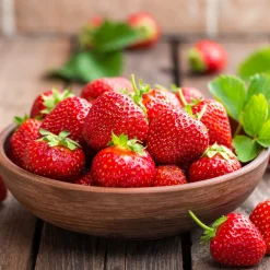 Nature's Garden Fresh Strawberry Fragrance Oil New