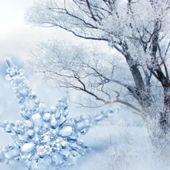 Nature's Garden Frost & Snowdrops Fragrance Oil Outlet