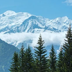 Nature's Garden Frosted Peak Tops Fragrance Oil Discount