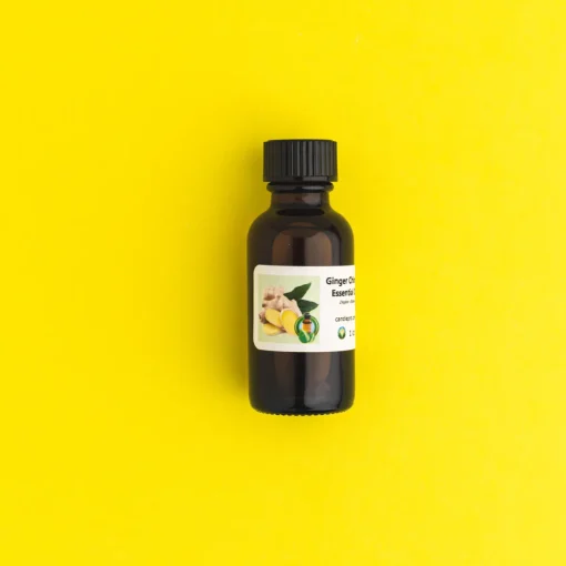 Nature's Garden Ginger Essential Oil - 100% Pure Outlet