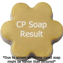 Nature's Garden Grape Soda Pop Fragrance Oil New