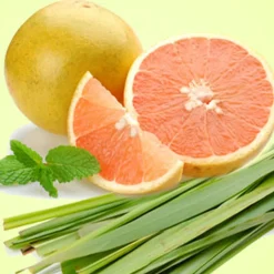 Nature's Garden Grapefruit Lemongrass Energize Fragrance Oil Hot