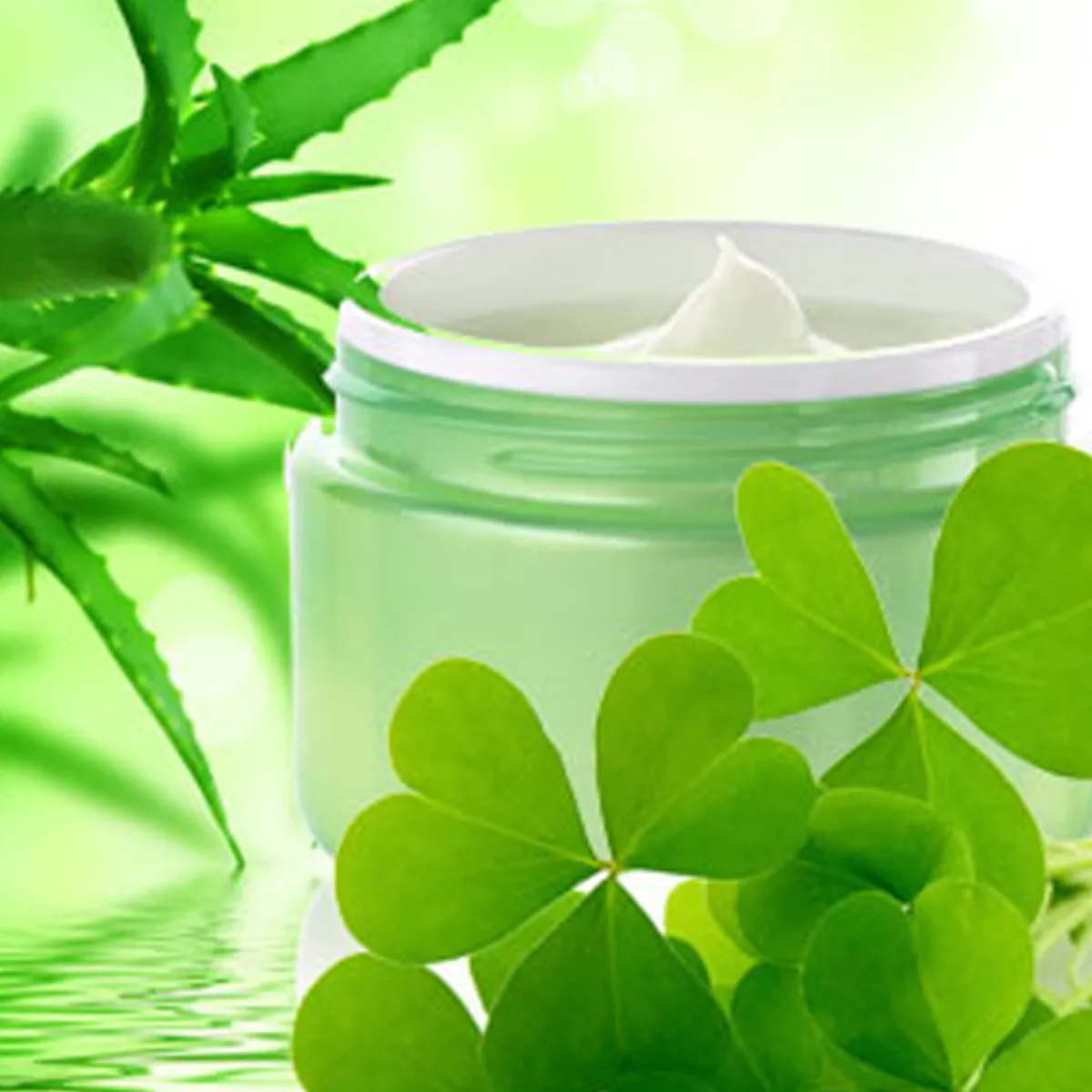 Nature's Garden Green Clover and Aloe Fragrance Oil Best