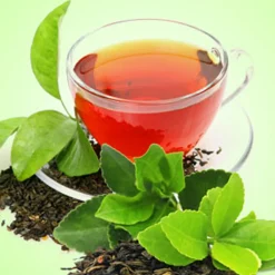 Nature's Garden Green Tea Fragrance Oil Online