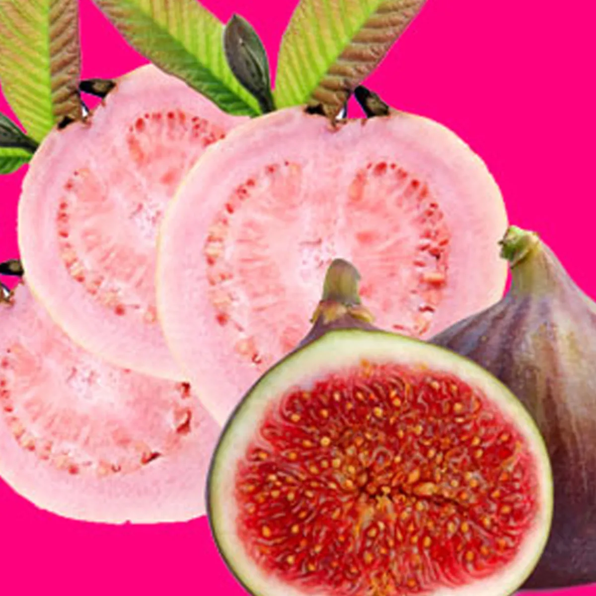 Nature's Garden Guava Fig Fragrance Oil Outlet