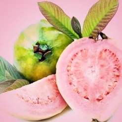 Nature's Garden Guava Fragrance Oil Online