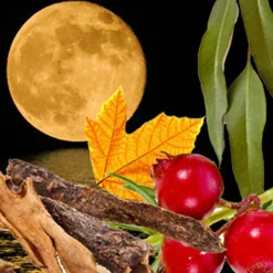 Nature's Garden Harvest Moon Fragrance Oil New