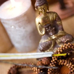 Nature's Garden Indian Sandalwood Fragrance Oil Outlet