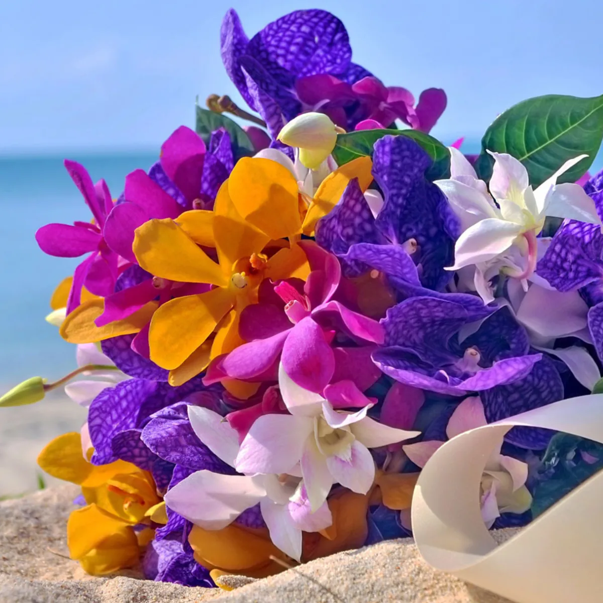 Nature's Garden Island Petals Fragrance Oil Online