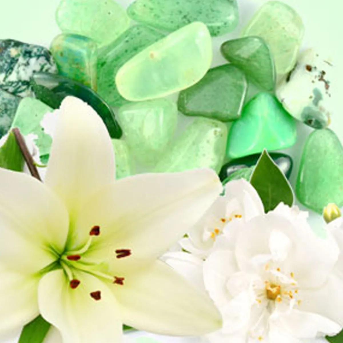 Nature's Garden Jade Fragrance Oil Sale