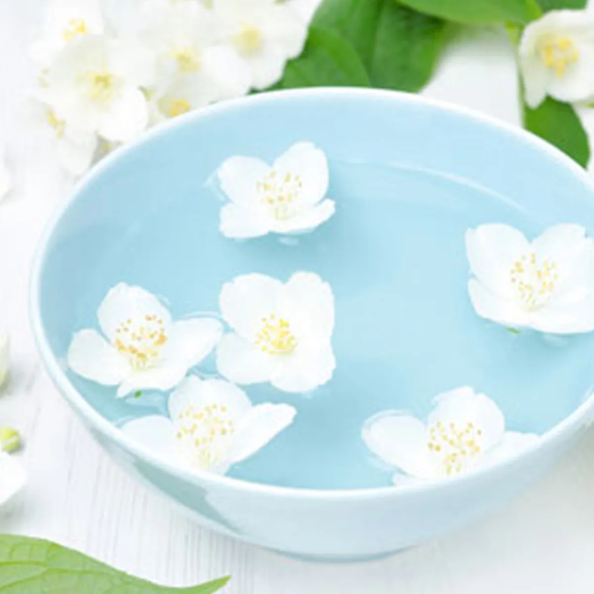 Nature's Garden Jasmine Fragrance Oil Best