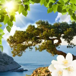 Nature's Garden Juniper Fresh Breeze Fragrance Oil Sale