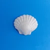 Nature's Garden Large Shells (Plastic Mold) Online