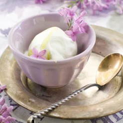 Nature's Garden Lavender and Coconut Milk Natural Fragrance Oil Hot