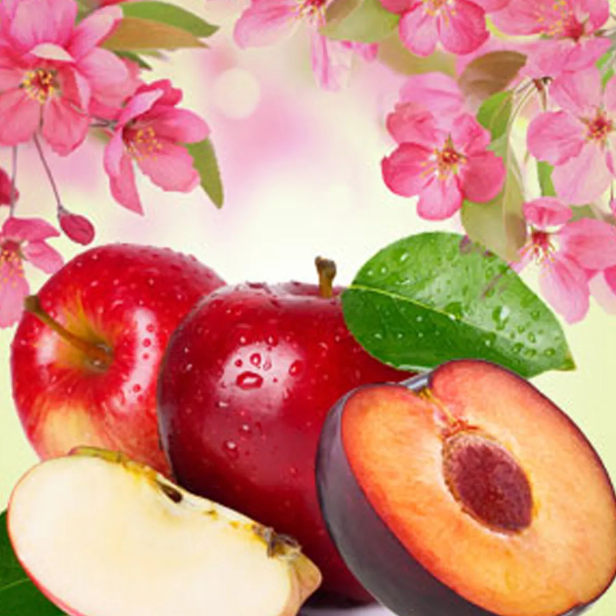 Nature's Garden Lavender Apple Fragrance Oil Best