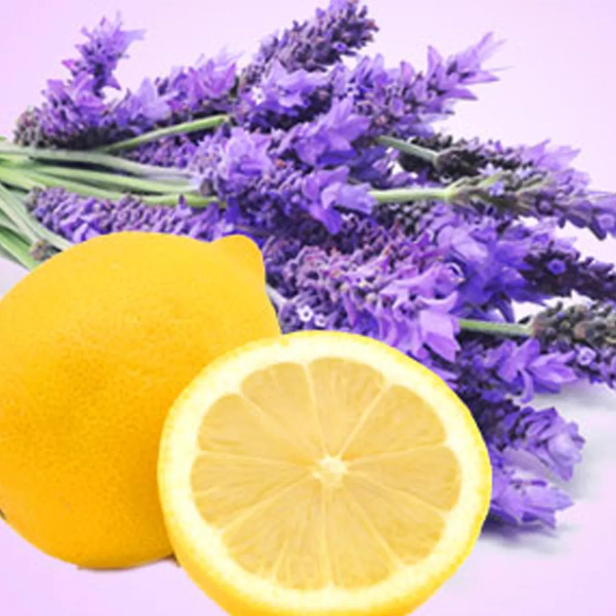 Nature's Garden Lemon Lavender Type Fragrance Oil Clearance