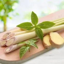 Nature's Garden Lemongrass and Ginger Fragrance Oil Best