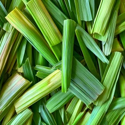 Nature's Garden Lemongrass Fragrance Oil Hot