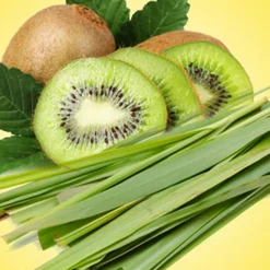 Nature's Garden Lemongrass Kiwi Cassis Fragrance Oil Discount