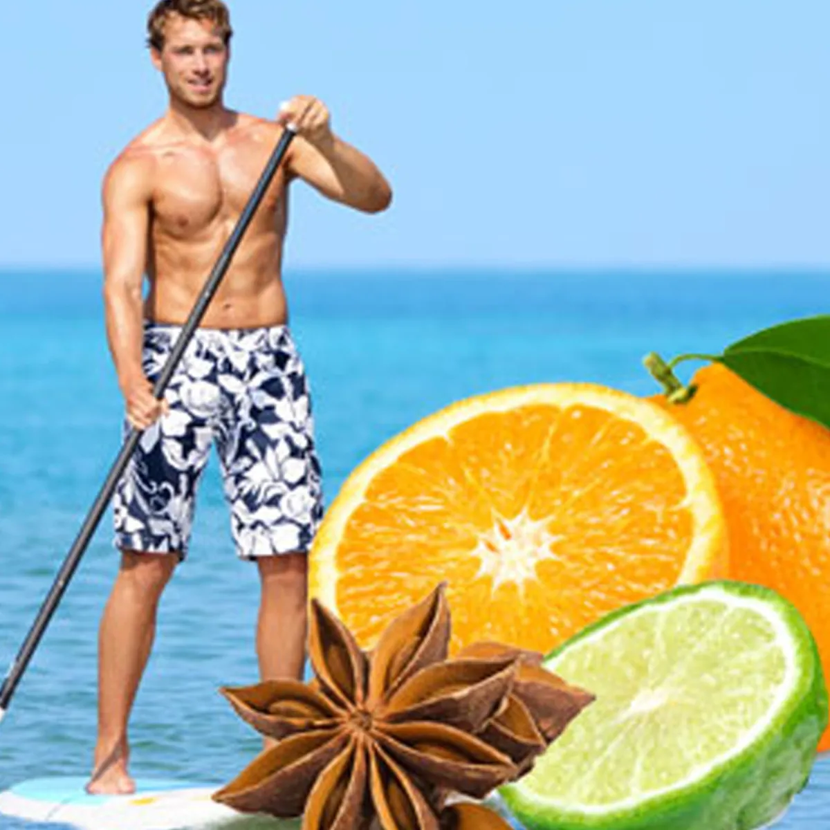 Nature's Garden Light Blue MEN Type Fragrance Oil New